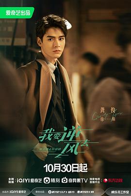 大丰区seo优化信息化服务